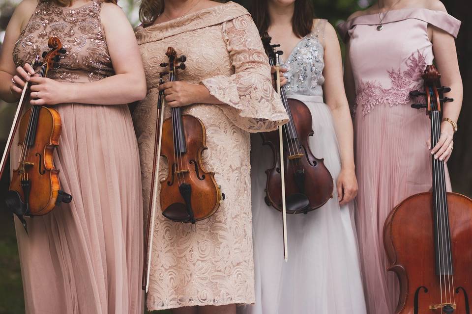 The Fern String Quartet