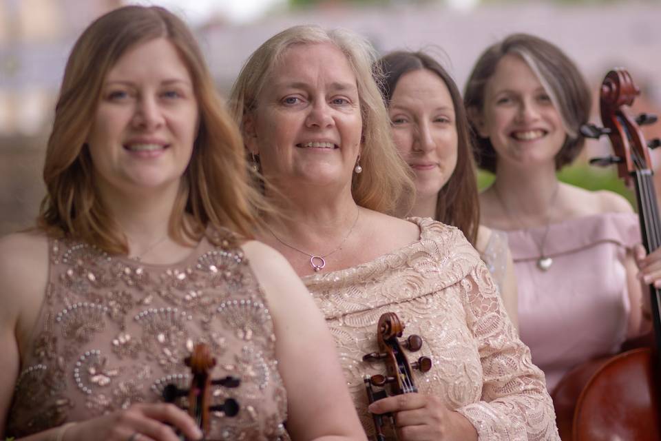 The Fern String Quartet