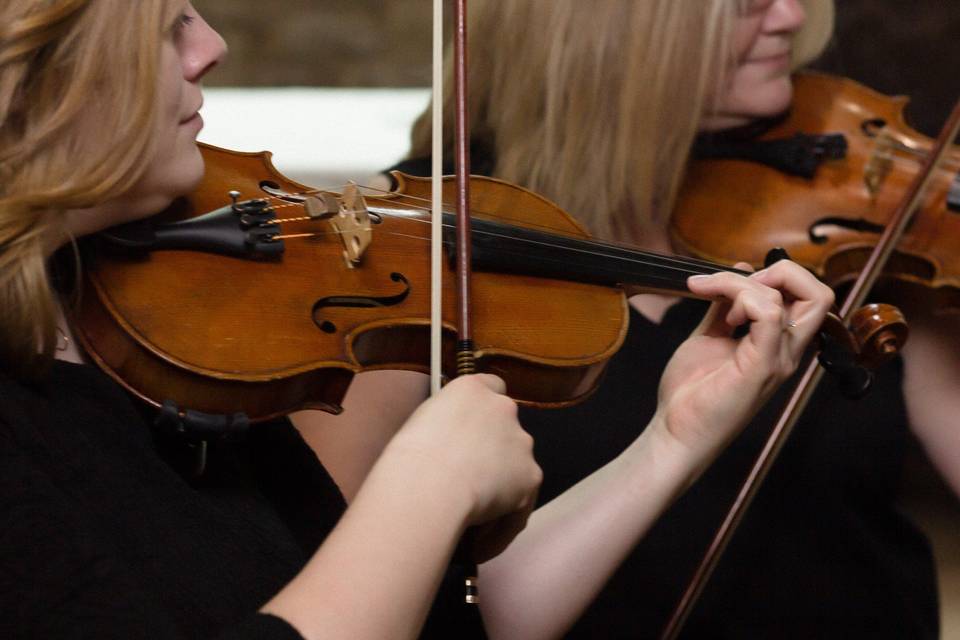 The Fern String Quartet