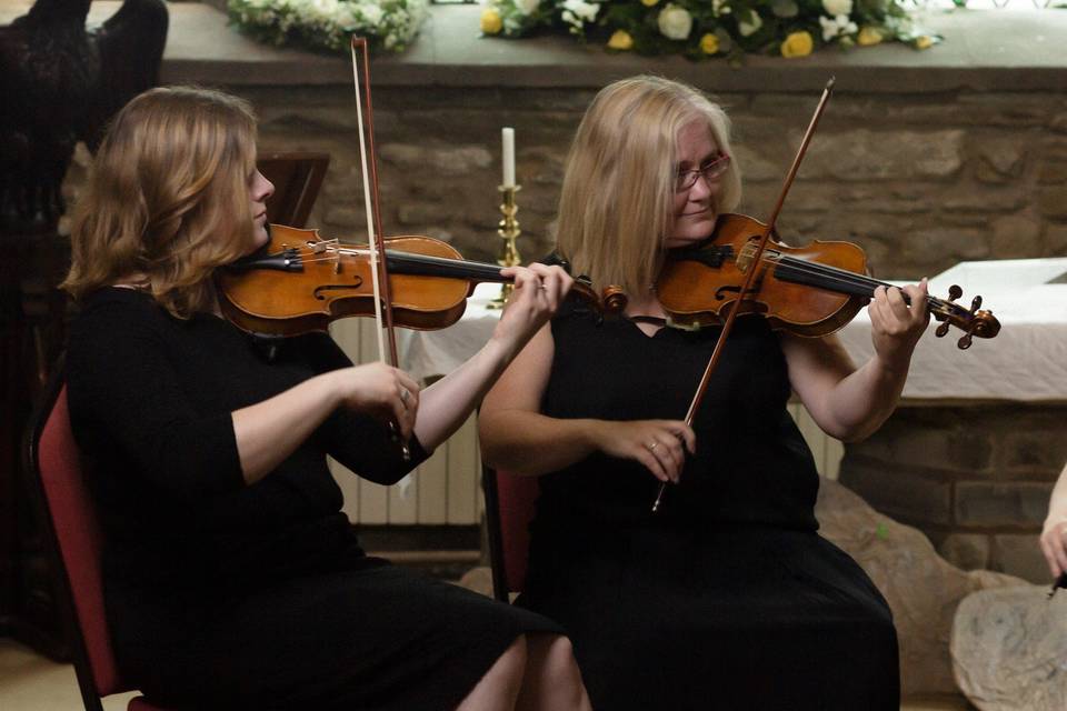 The Fern String Quartet