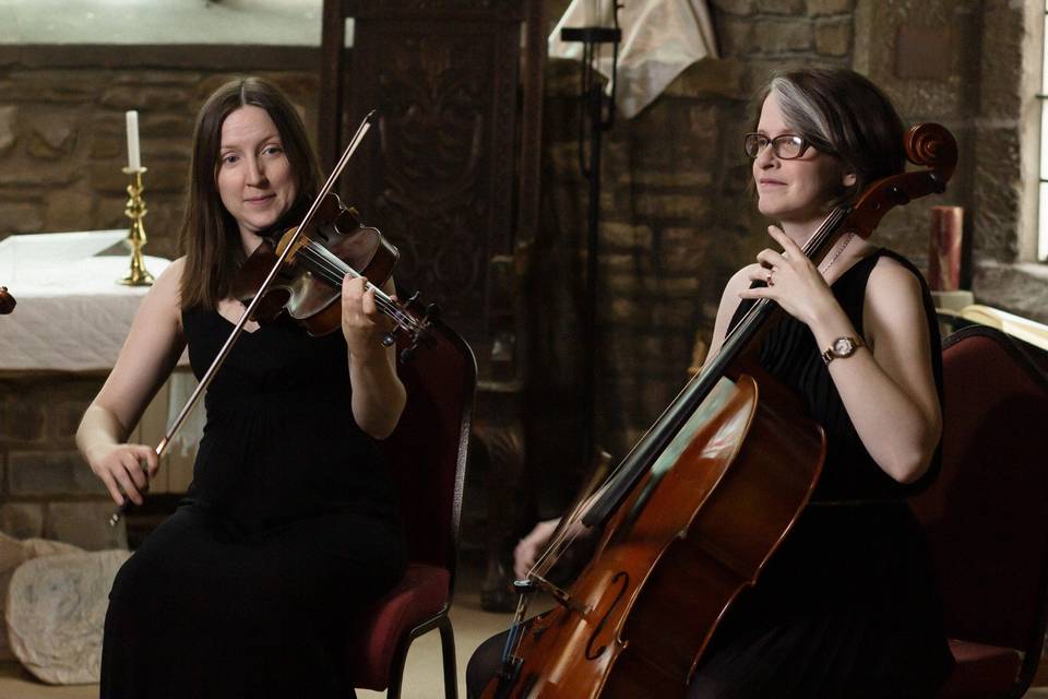 The Fern String Quartet