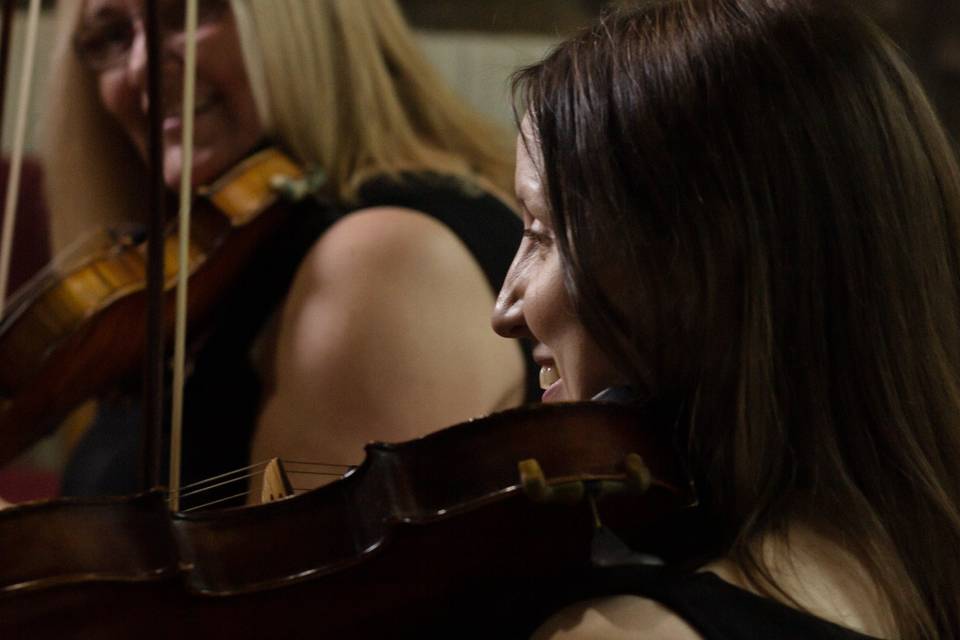 The Fern String Quartet