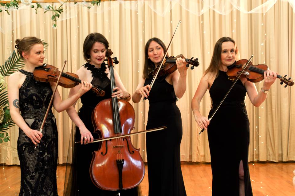 The Fern String Quartet