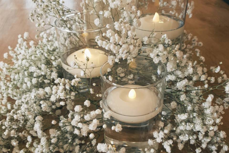 Gypsophila blooms!