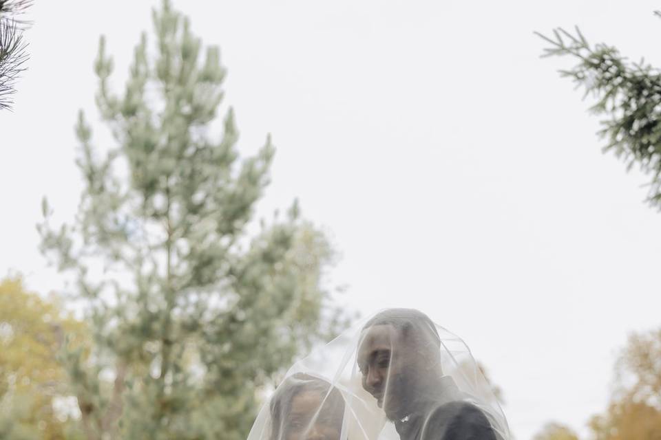 Classic veil shot