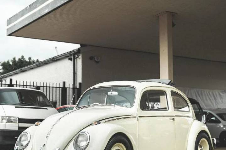 1957 Beetle Front