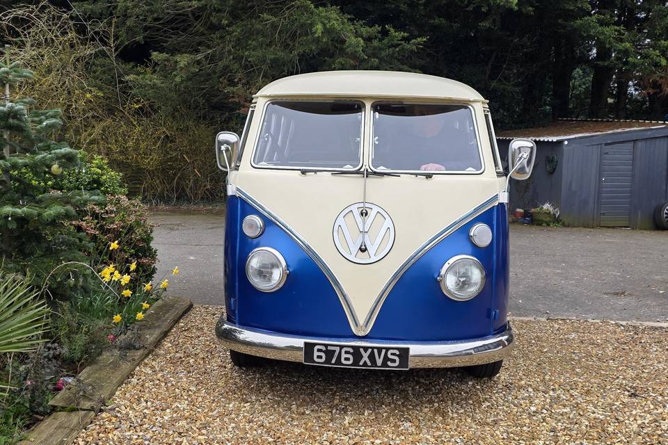 Albert new addition for 2026