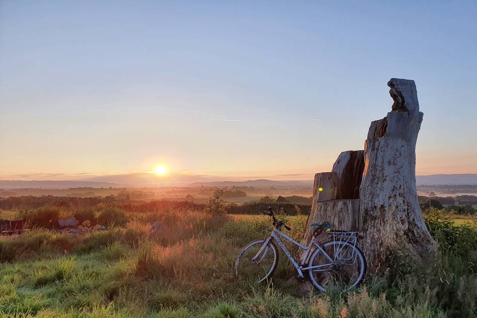 The old stump seat with a view