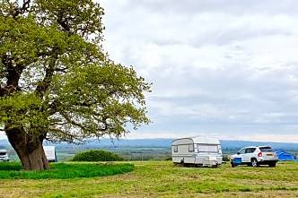 Parking up by the old oak tree