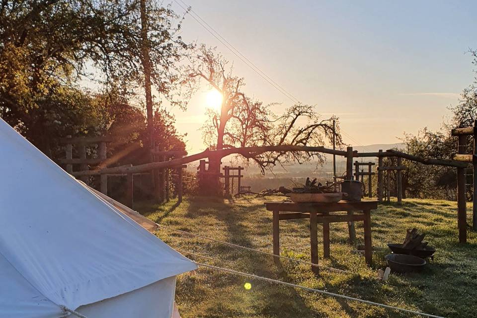 Waking up in the orchard