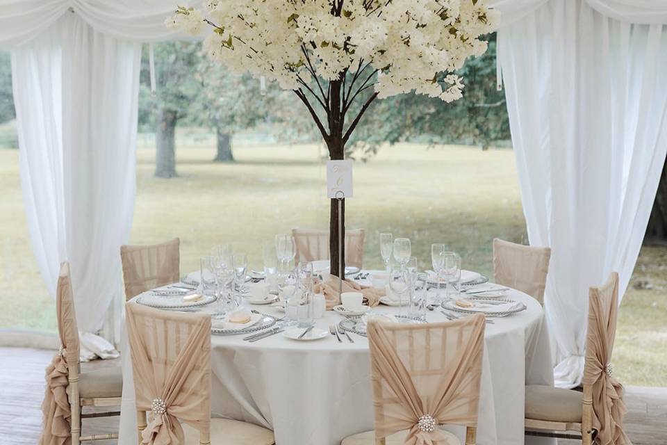 Blossom tree and drapes