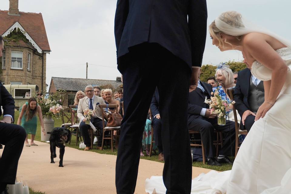 Blue The Ring Bearer