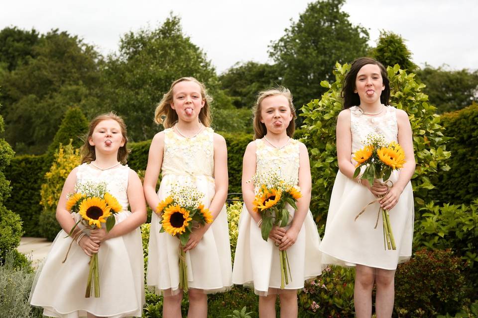 Little sunflowers - Lisa Cowen Photography Ltd