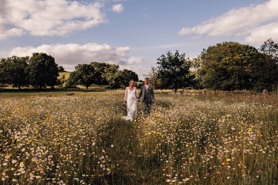 Wild flower meadow