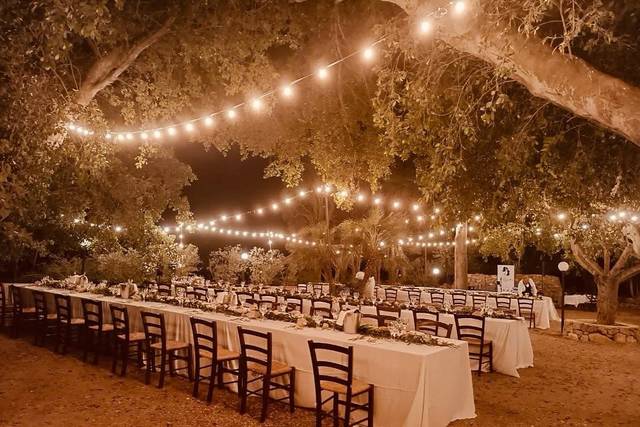 Courtyard reception