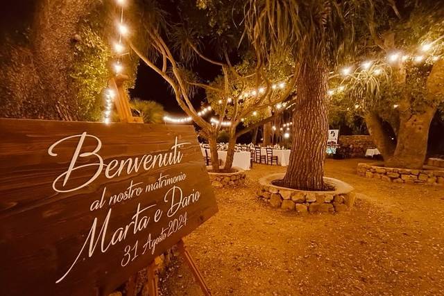 Welcome to the wedding