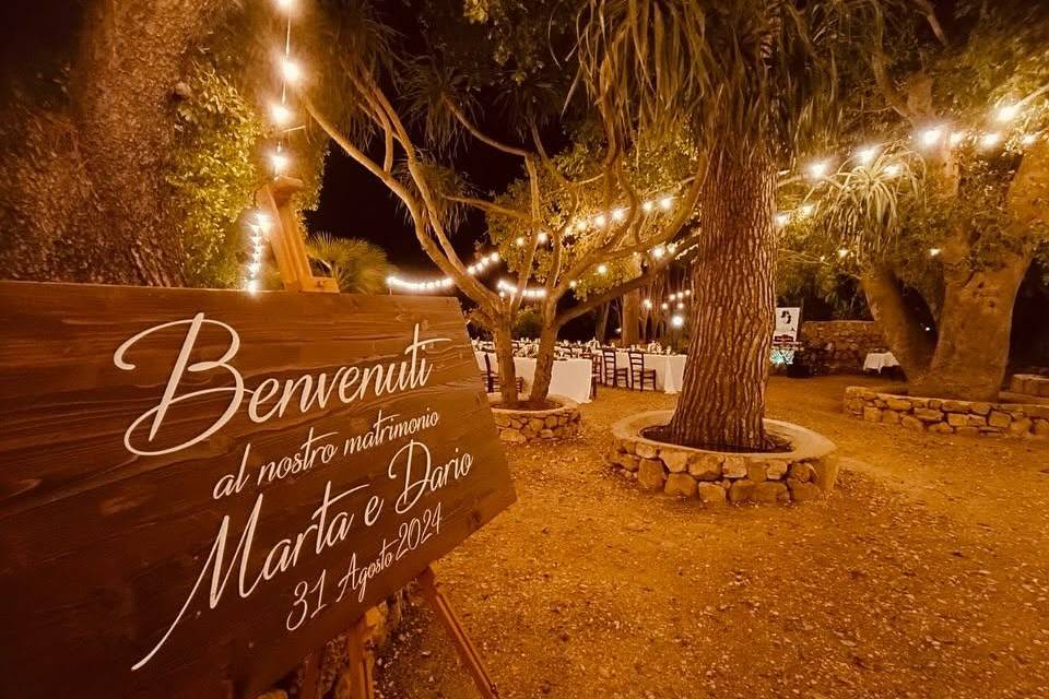 Welcome to the wedding