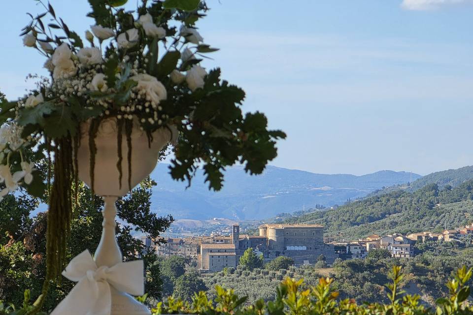 Panoramic view