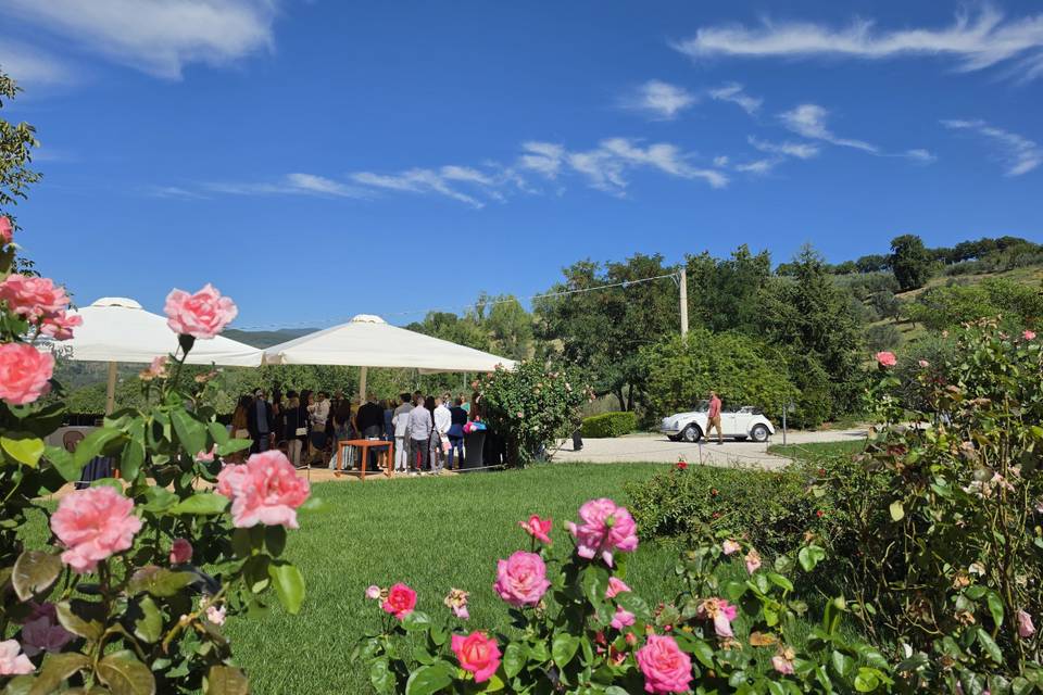 Area garden