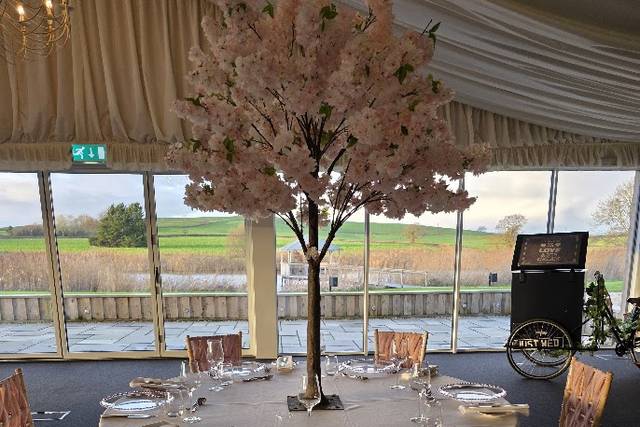 Pink cheery tree