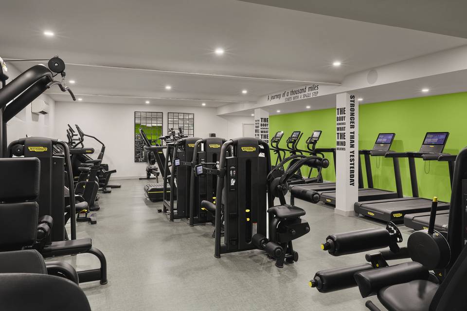 Large well-equipped gym