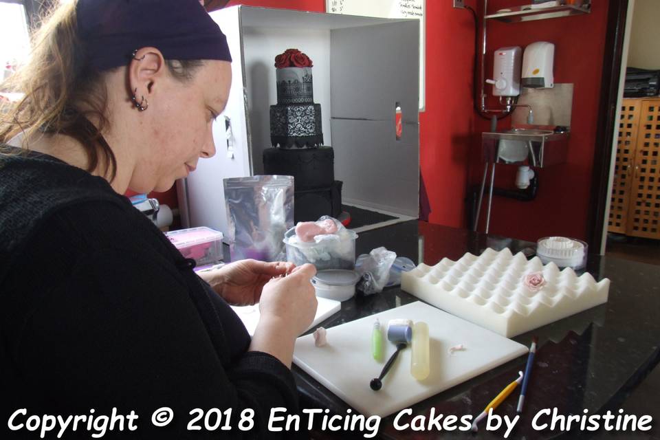 EnTicing Cakes By Christine