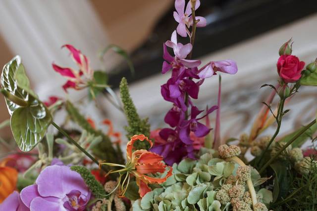 Modern tropicals