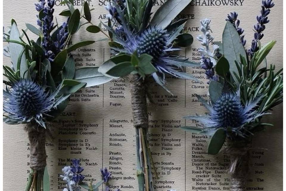 Cluster buttonholes