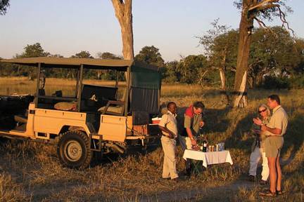 Safari Weddings and Honeymoons