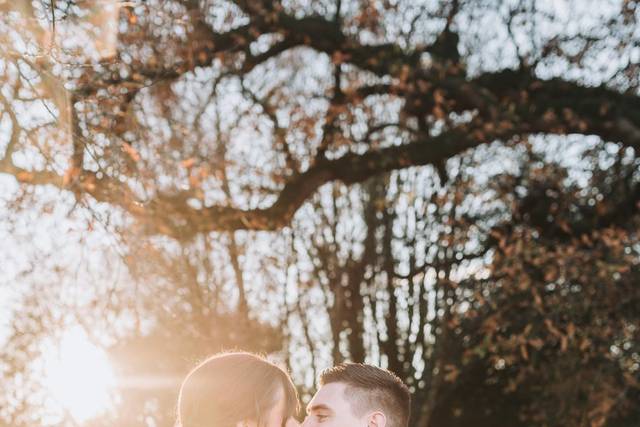 Winter Sun