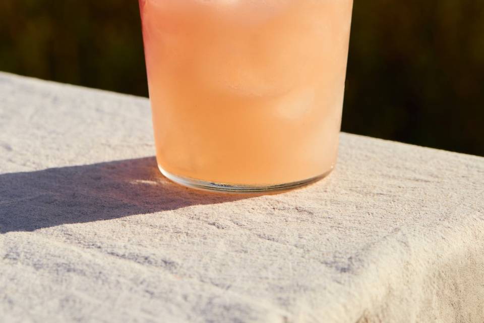 Paloma
