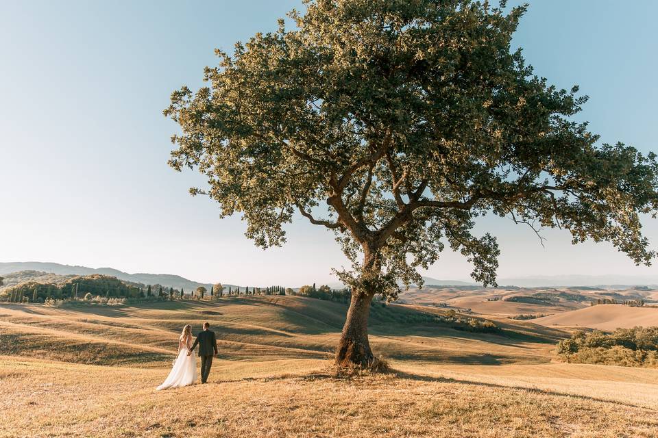Bella vista