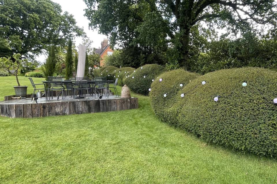 Festoon Lighting in hedge!