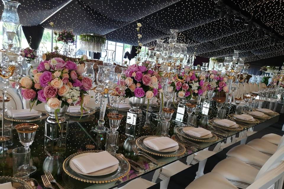 Table decor and starlight lining