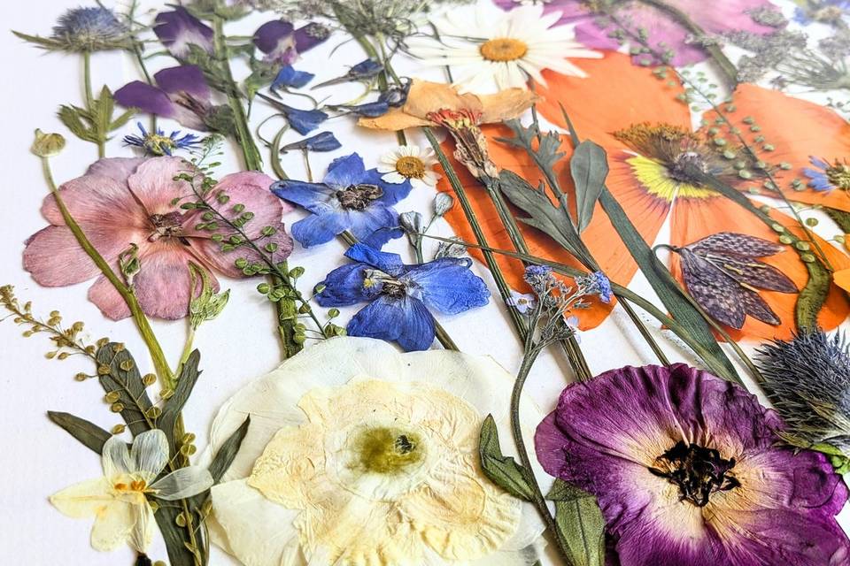 Pressed and preserved bouquet