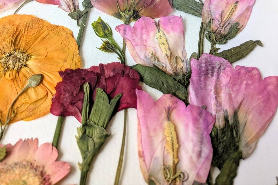 Pressed and preserved bouquet