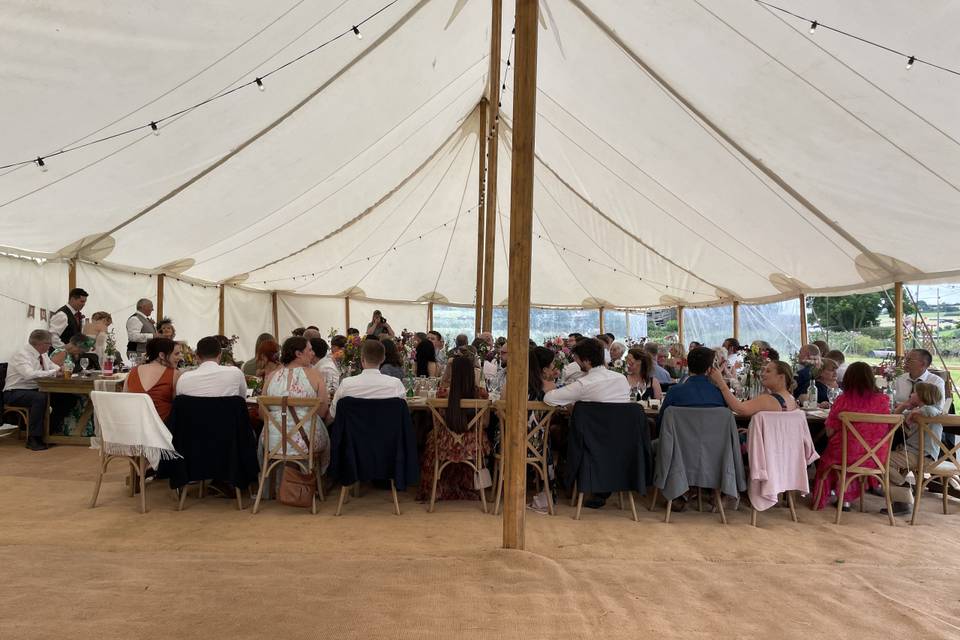 Celeste Pole Marquee Wedding