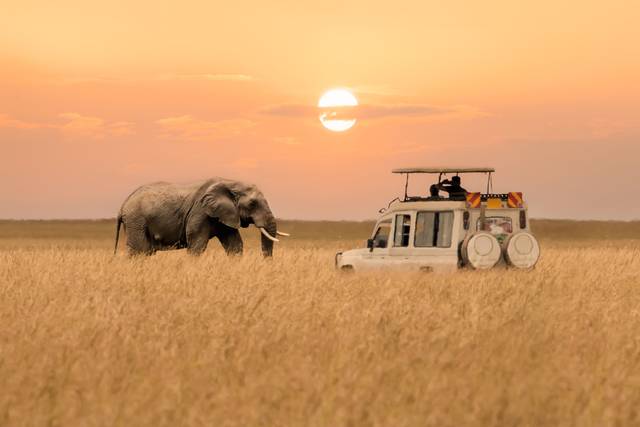 How about Safari?
