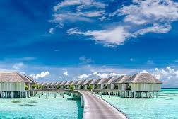 Perfect Luxury