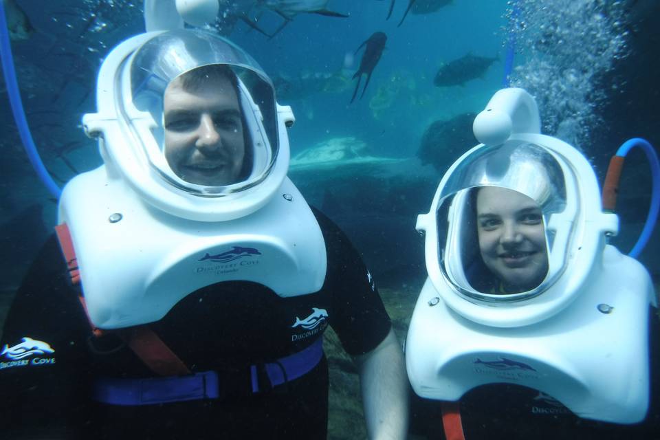 Amazing experiences
