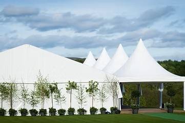 Wedding reception