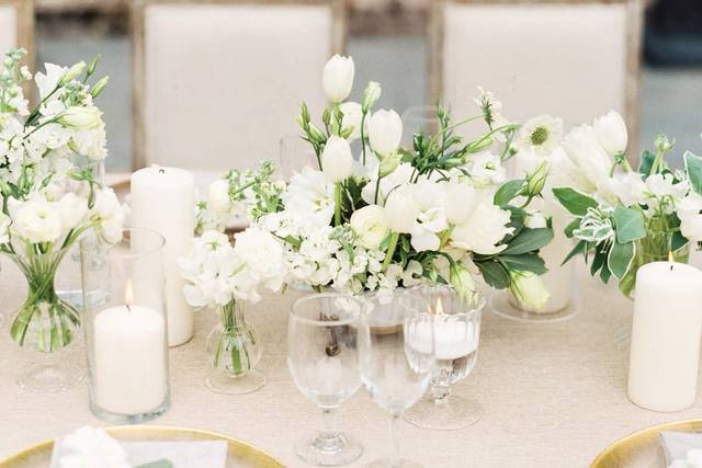 White harmony