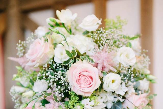 Pastel pinks