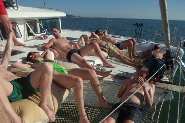 Stags on a yacht
