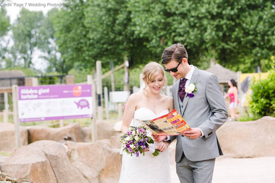 Bride and Groom in the Zoo