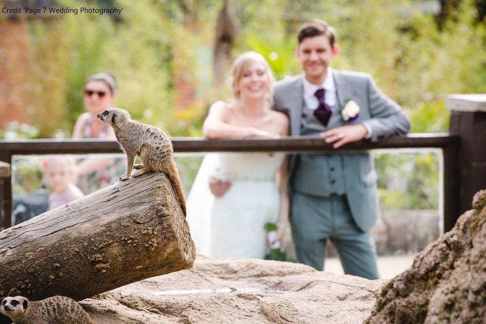 Twycross Zoo