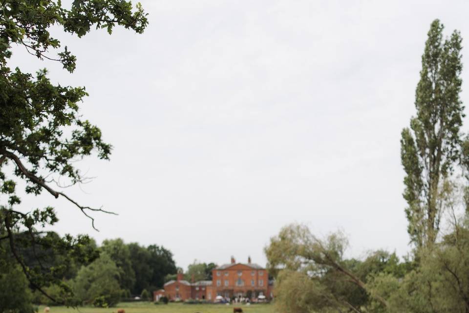 The Lake View