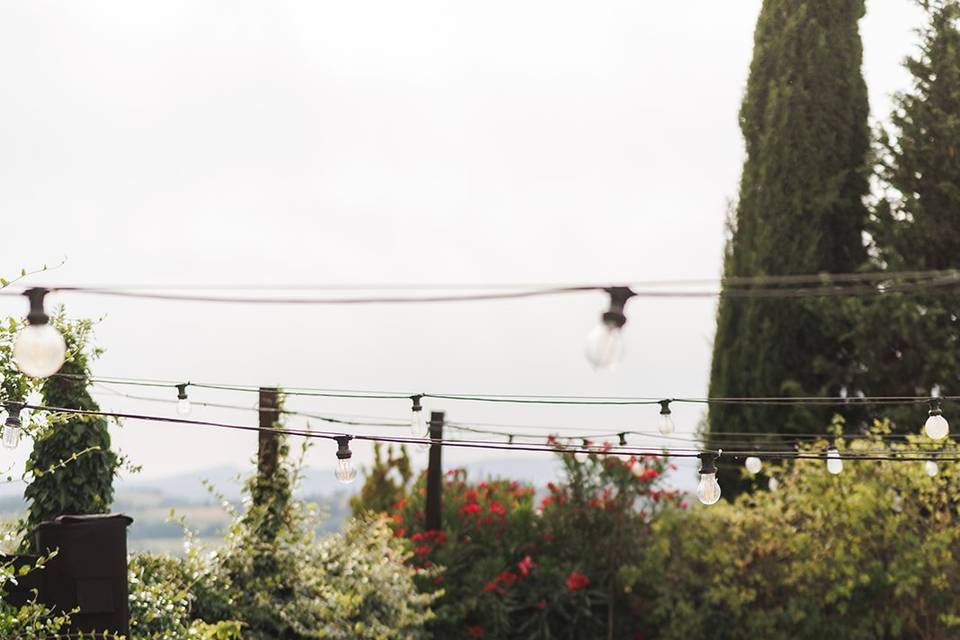 Secret garden