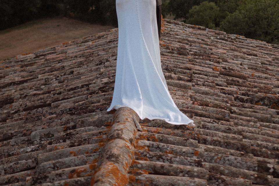 Belvedere pictures