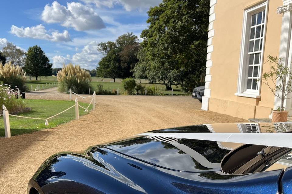 Stunning Ultramarine Black